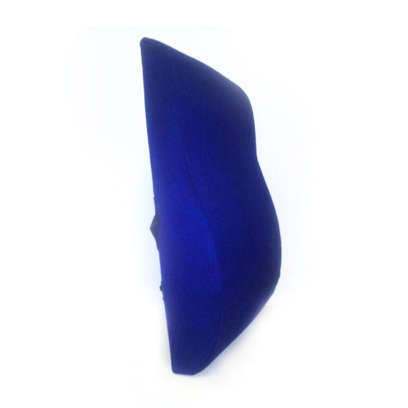 Ergo Back Support Cushion SpineAlign